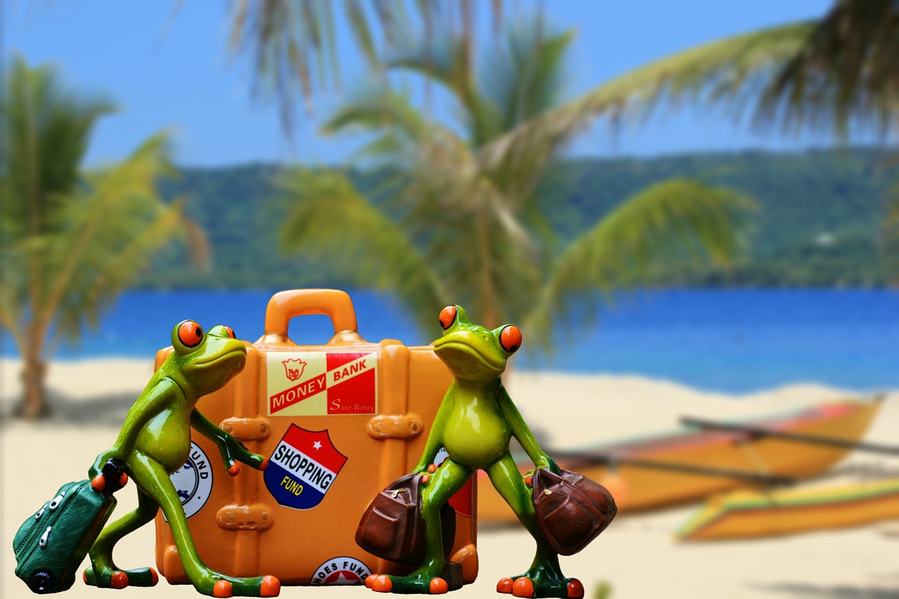 The struggle is real! pack and travel free hustle