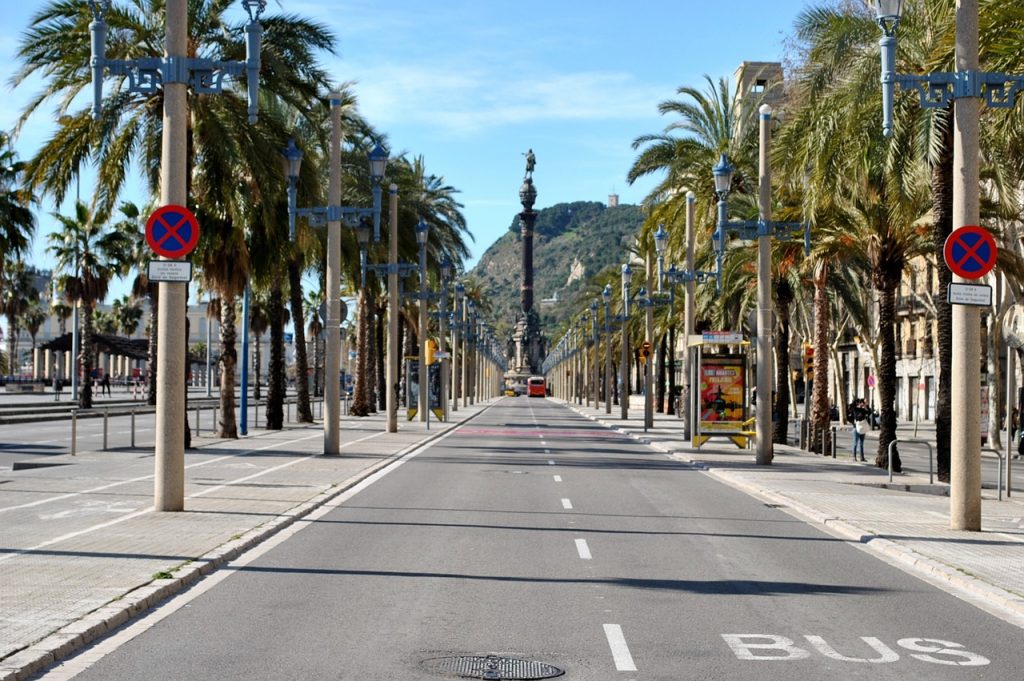 Plam trees lining a street in Barcelona 